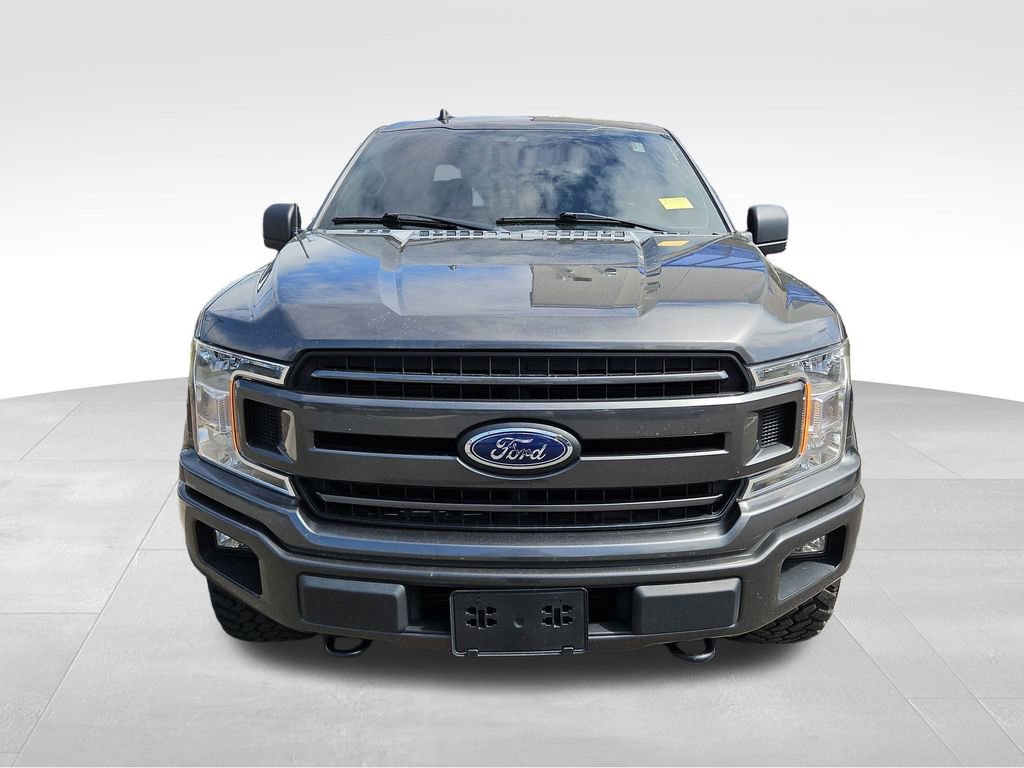 Used 2019 Ford F150 XLT w/ Equipment Group 302A Luxury image 2