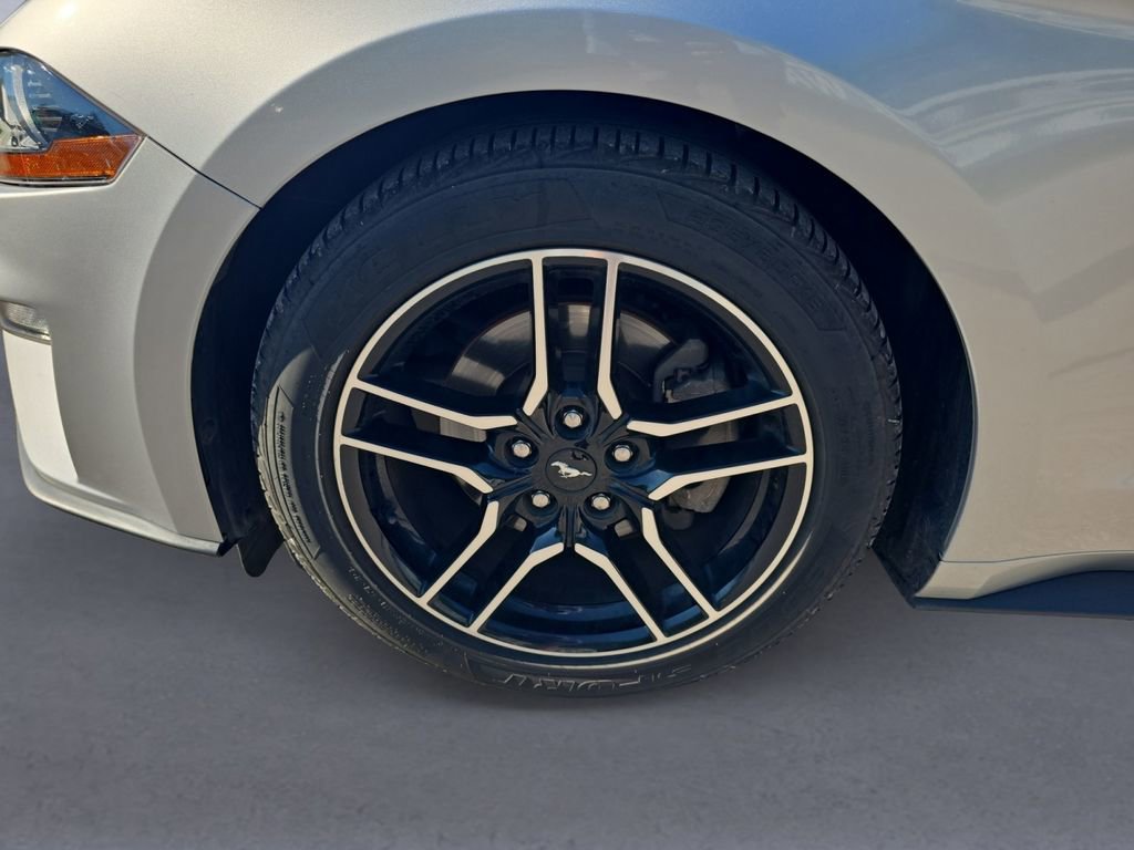 Used 2019 Ford Mustang Premium RWD image 11