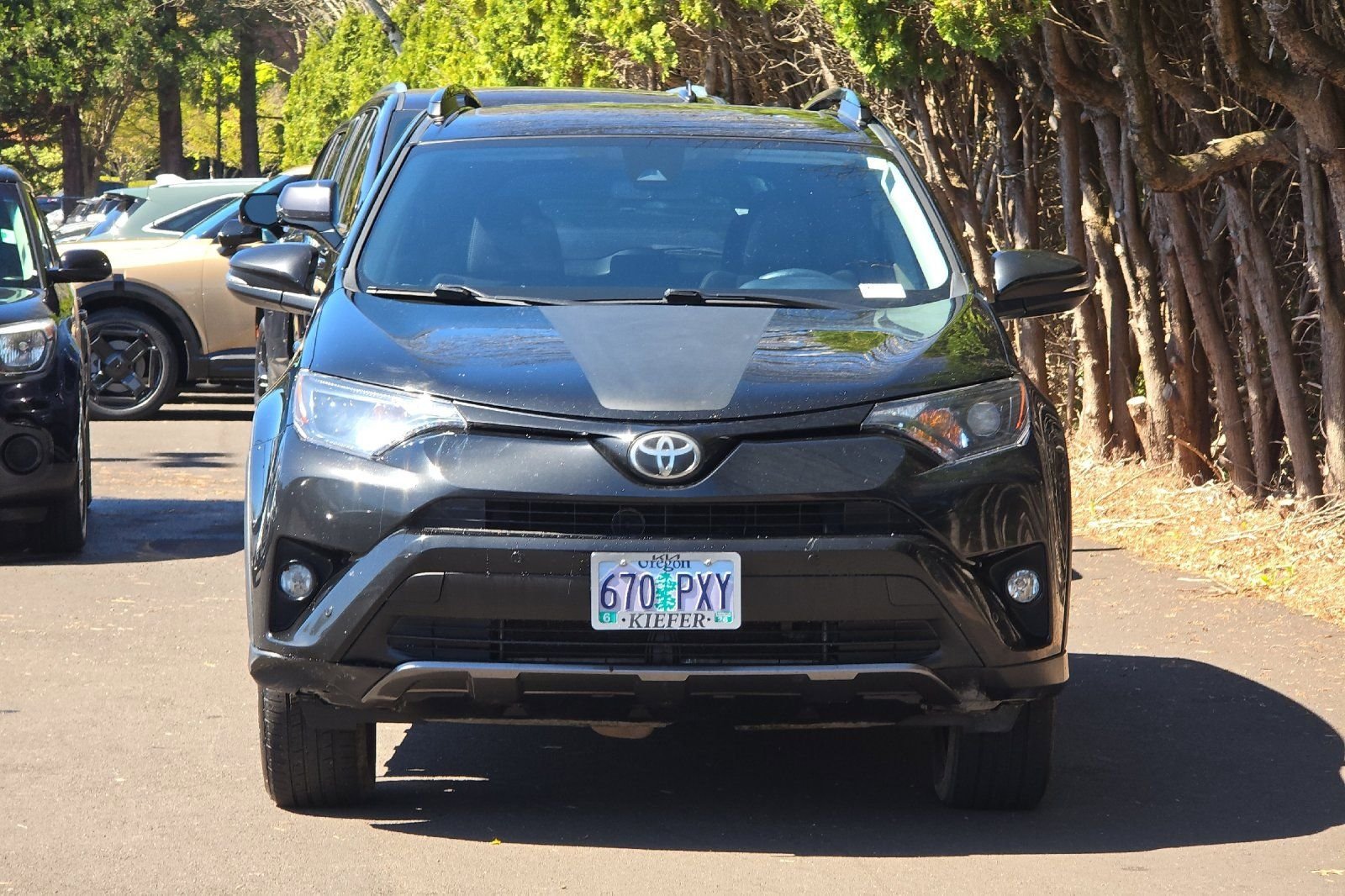 Used 2018 Toyota RAV4 Adventure image 9