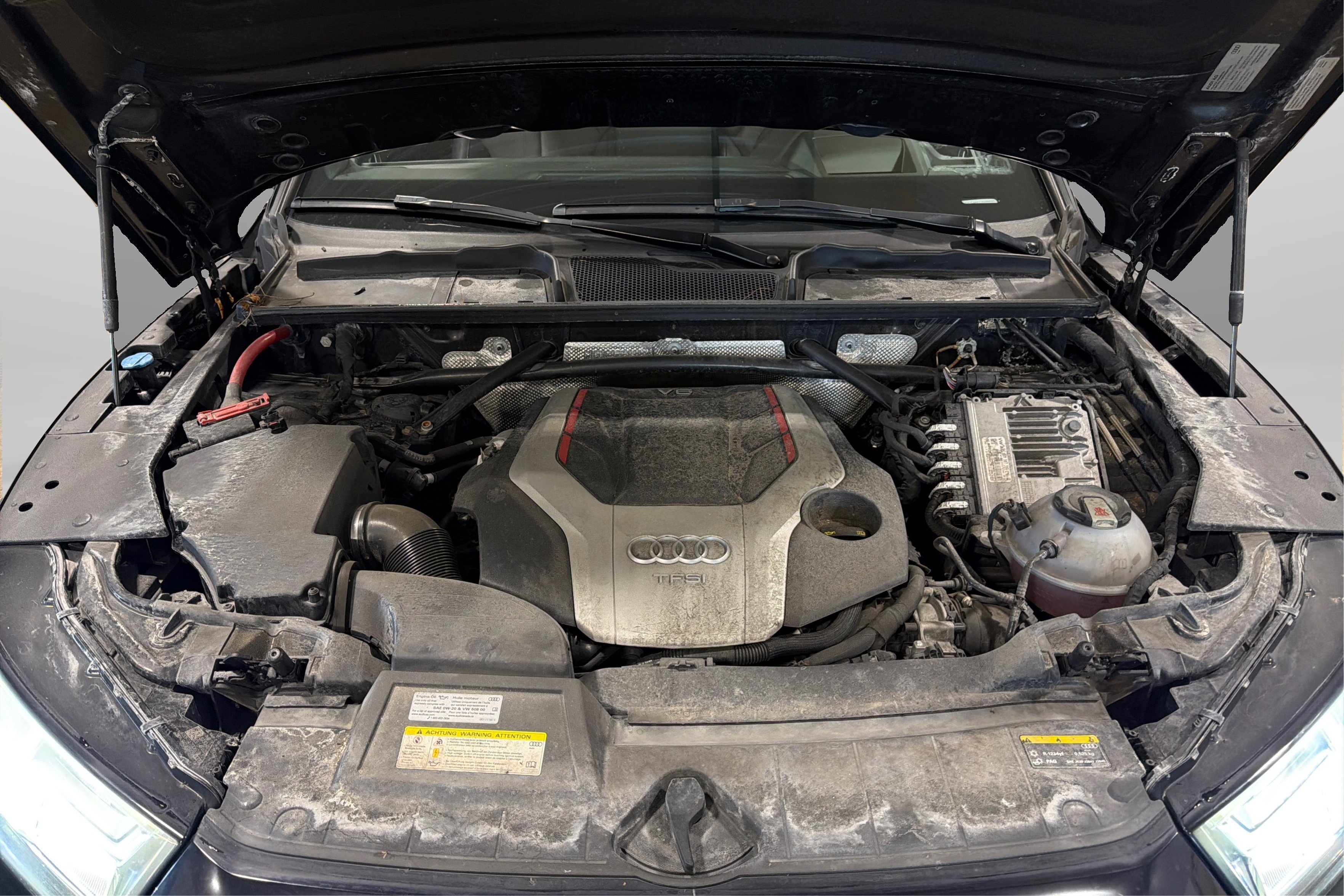 Used 2019 Audi SQ5 Prestige w/ Prestige Package AWD/4WD image 12