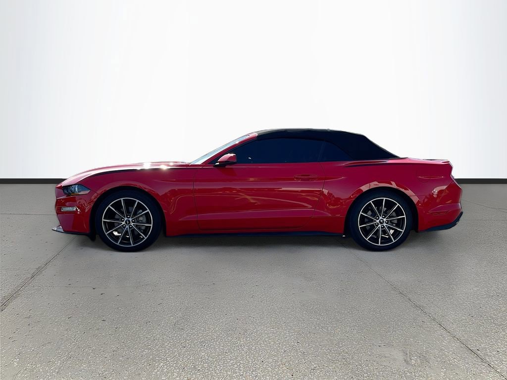 Used 2019 Ford Mustang Premium w/ Equipment Group 201A RWD image 4
