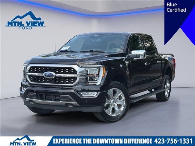 Used 2023 Ford F150 Platinum w/ Equipment Group 701A High