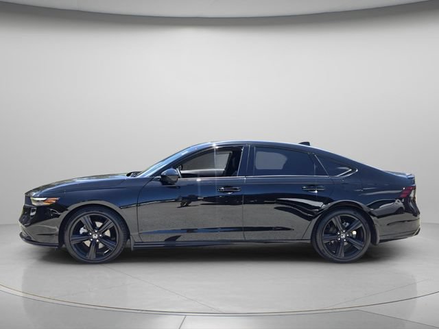 Used 2024 Honda Accord Sport image 3