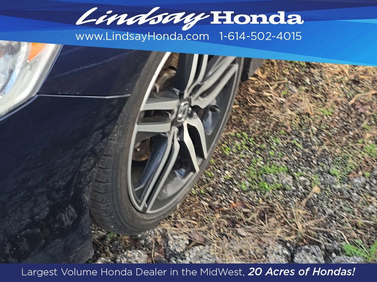 Used 2017 Honda Accord Sport Special Edition image 6