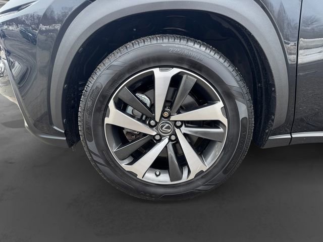 Used 2020 Lexus NX 300h AWD w/ Premium Package image 7