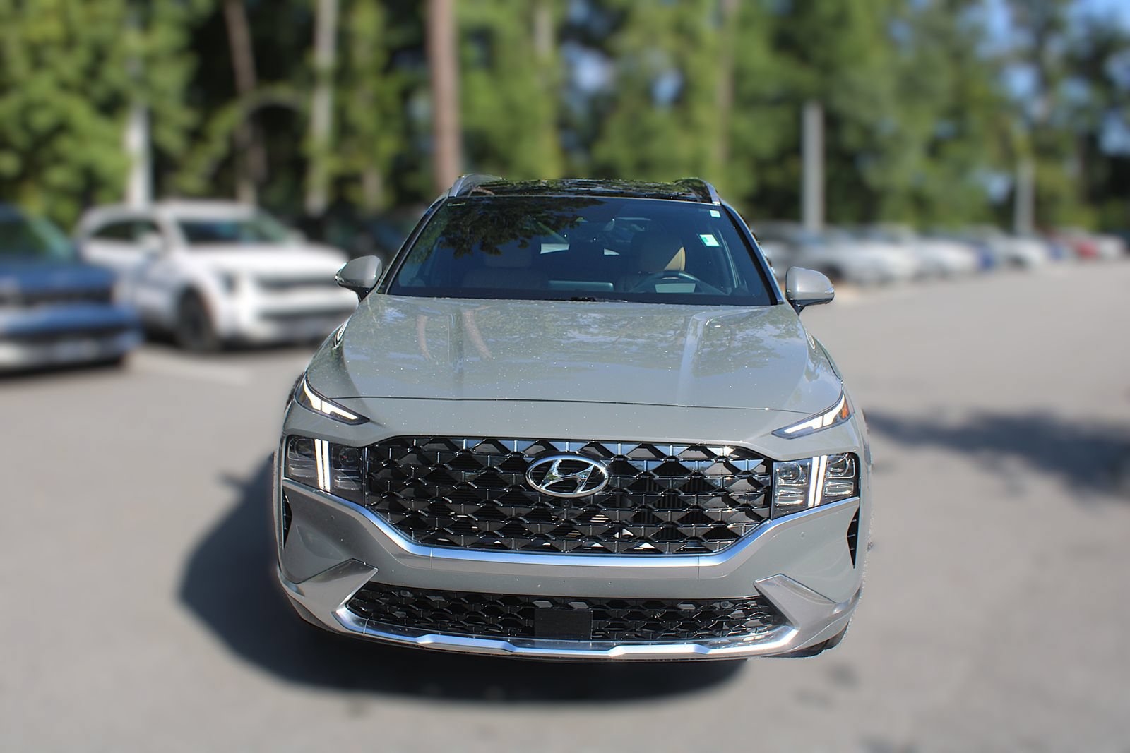 Used 2023 Hyundai Santa Fe Calligraphy AWD/4WD image 18