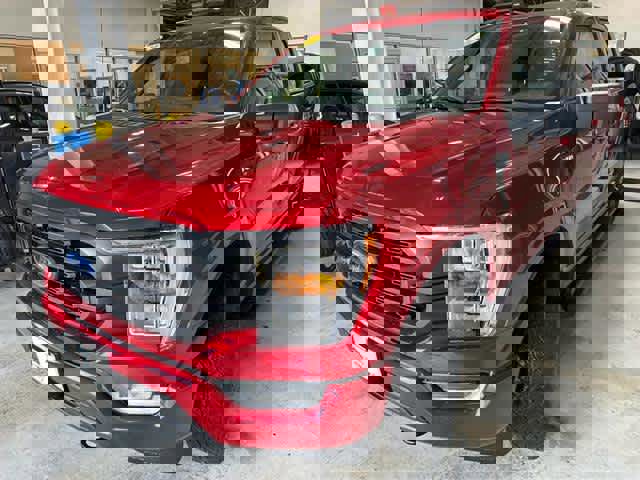 Used 2022 Ford F150 XLT w/ Equipment Group 302A High image 3