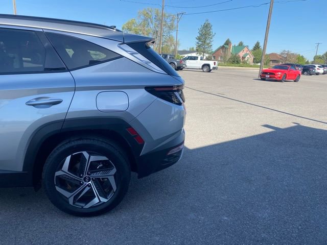 Used 2024 Hyundai Tucson Limited image 6