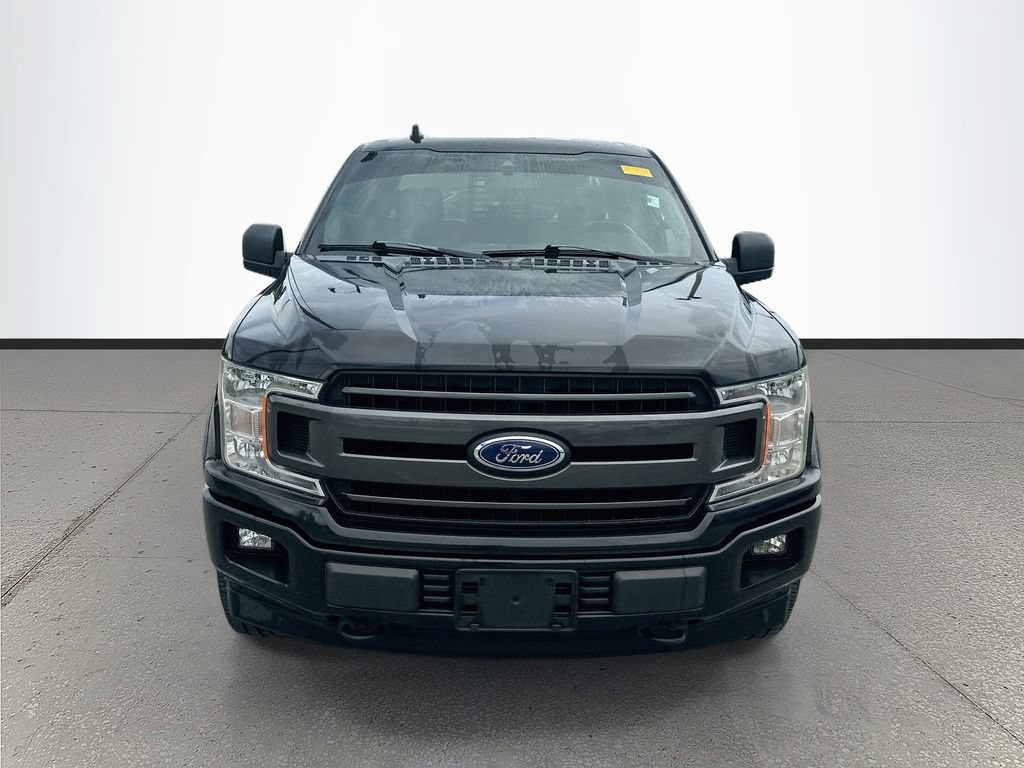 Used 2019 Ford F150 XLT w/ Equipment Group 302A Luxury AWD/4WD image 2