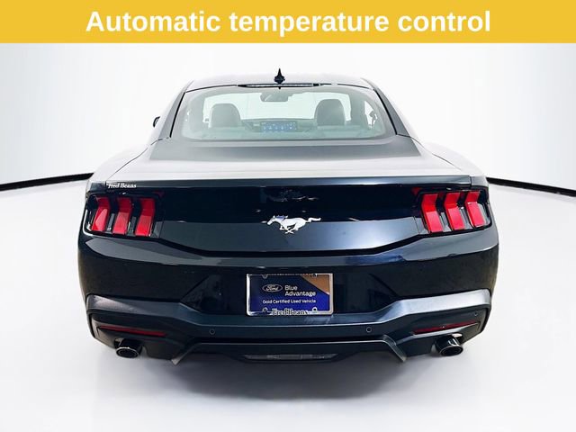 Certified 2025 Ford Mustang EcoBoost image 10