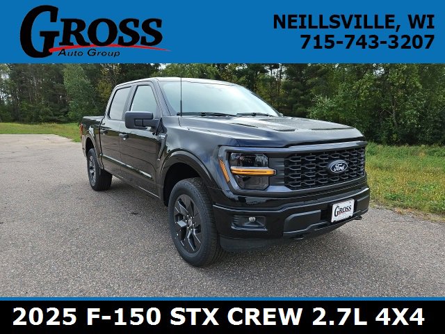 New 2025 Ford F150 STX