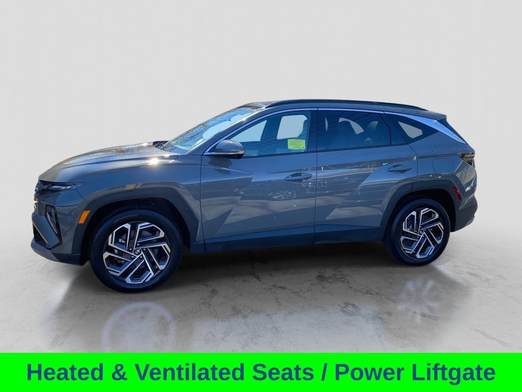 Used 2025 Hyundai Tucson Limited image 2