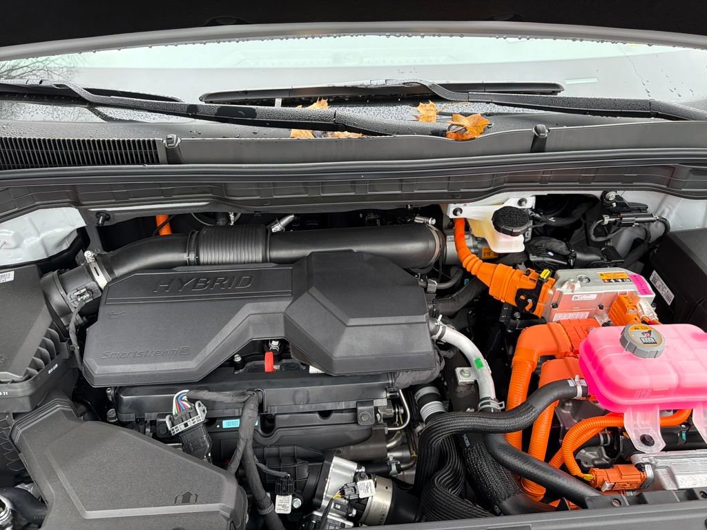 New 2026 Kia Carnival SX Prestige image 20