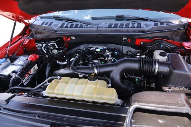 Used 2019 Ford F150 XLT w/ Equipment Group 302A Luxury AWD/4WD image 27