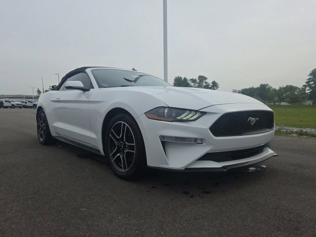 Used 2019 Ford Mustang Premium RWD 360° Tour