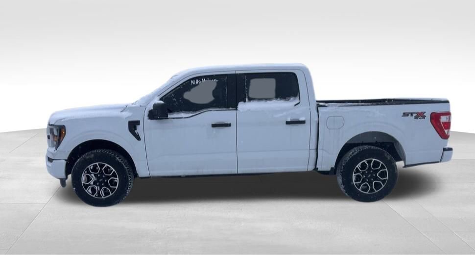 Used 2023 Ford F150 XL w/ XL STX Apperance Package image 8