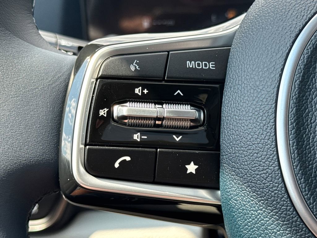 New 2026 Kia Carnival SX Prestige image 23