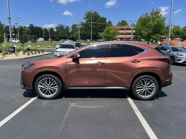 Used 2025 Lexus NX 350h AWD w/ Cold Area Package image 6