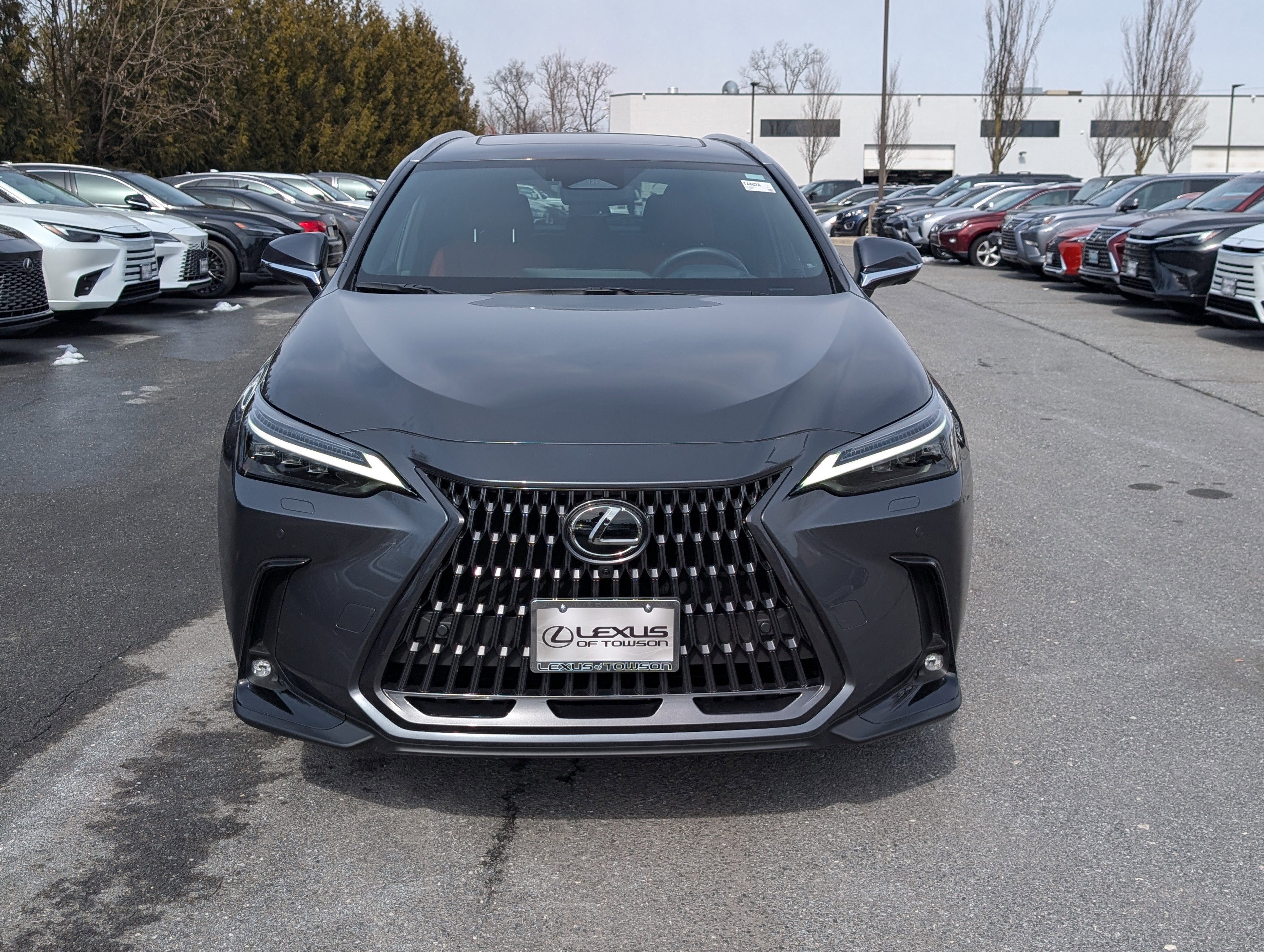 Certified 2024 Lexus NX 350 AWD w/ Vision Package image 8