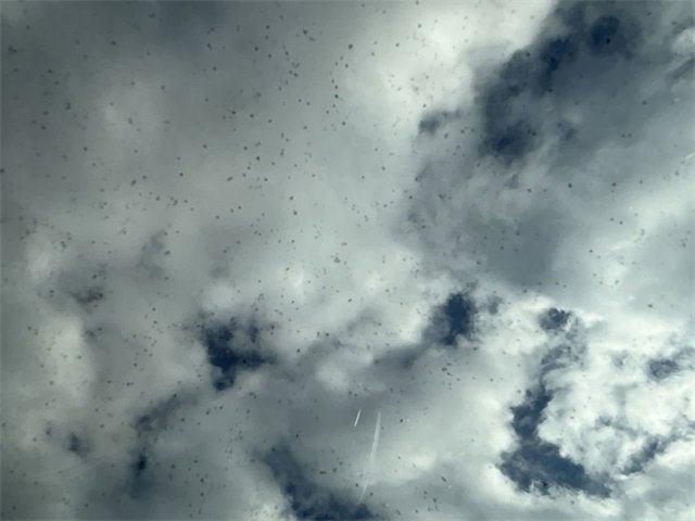 Used 2019 Honda Passport Elite image 22