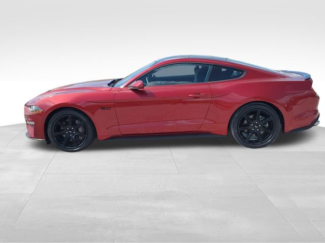 Used 2019 Ford Mustang GT w/ Equipment Group 301A image 7