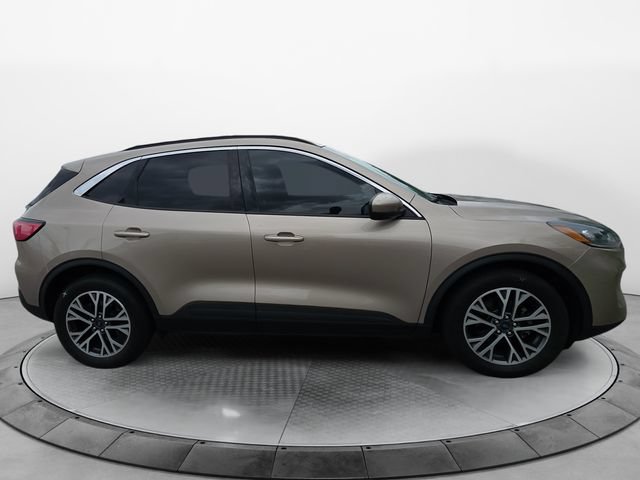 Used 2020 Ford Escape SEL FWD image 6