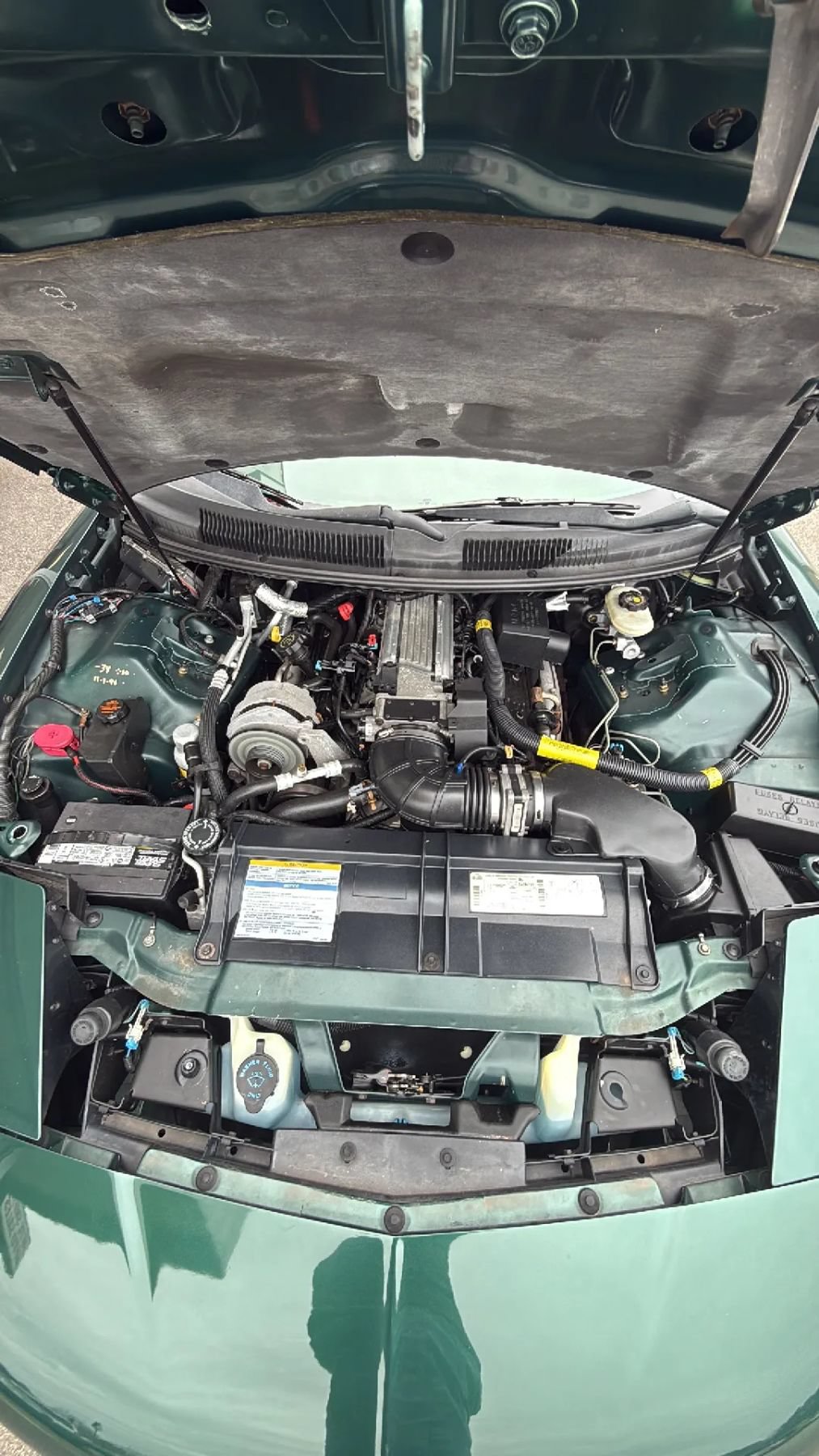 Used 1996 Pontiac Firebird Trans Am RWD image 32