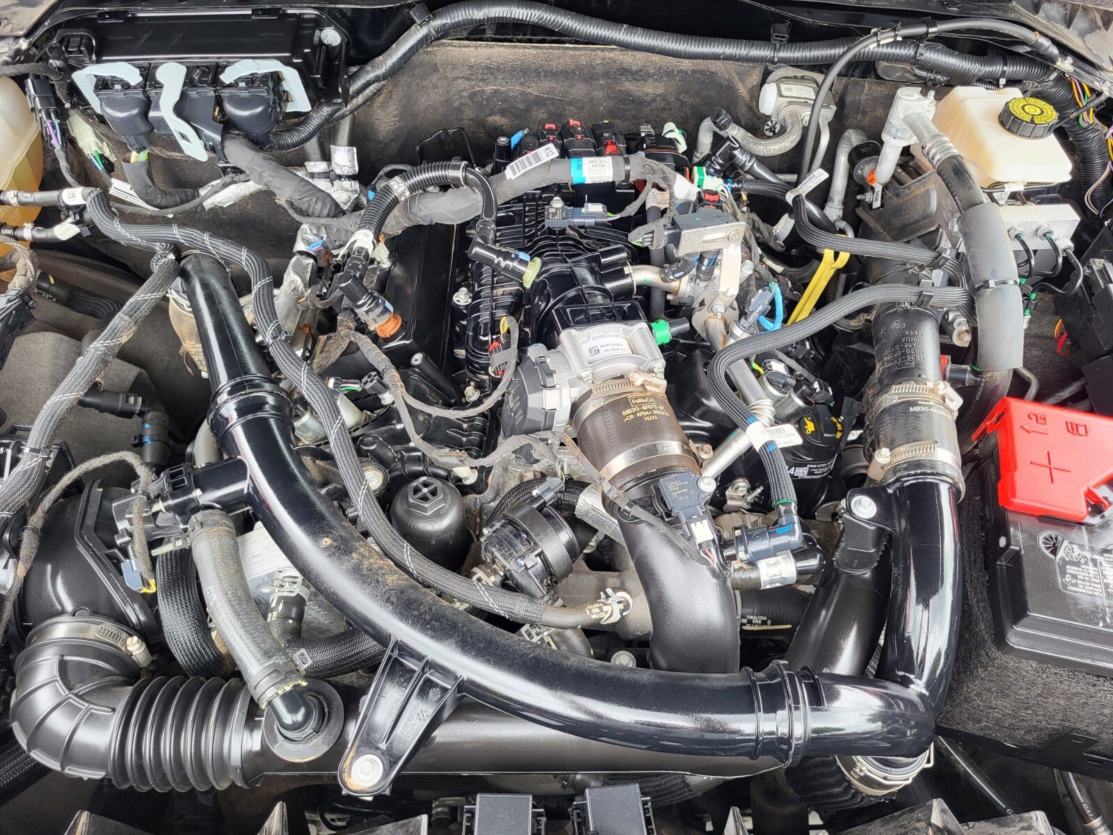 Certified 2024 Ford Bronco Badlands image 33