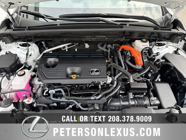 Used 2025 Lexus NX 350h AWD w/ Accessory Package (2T) image 10