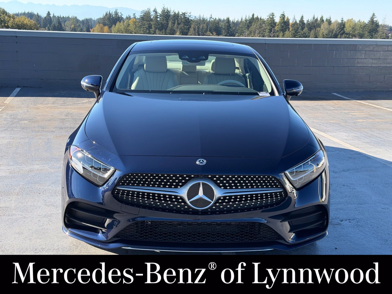 Used 2019 Mercedes-Benz CLS 450 image 2