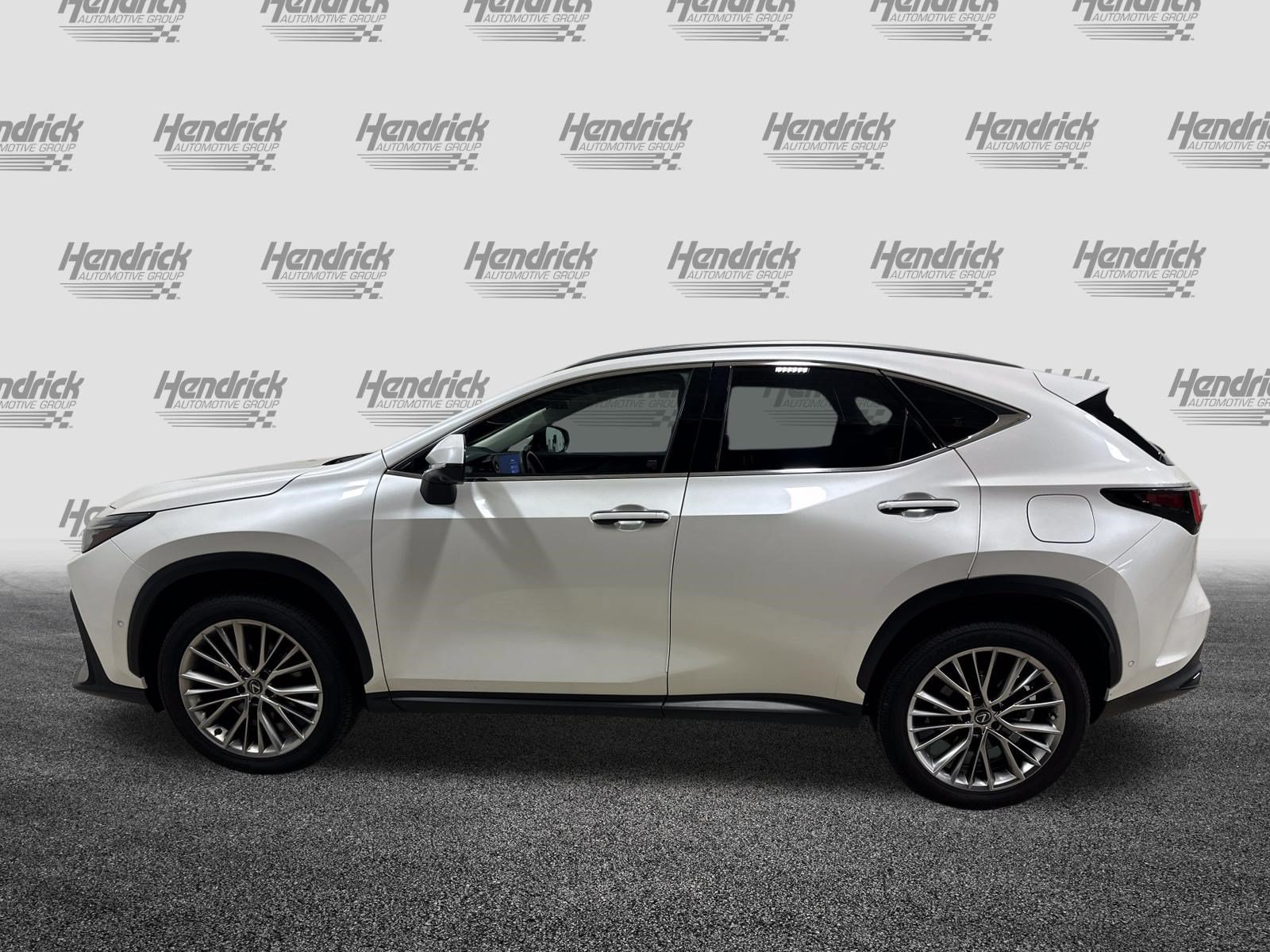 Used 2024 Lexus NX 350h AWD w/ Vision Package image 7