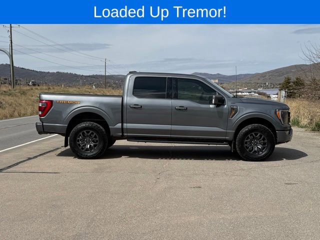 Used 2023 Ford F150 Tremor w/ Equipment Group 402A High AWD/4WD image 7