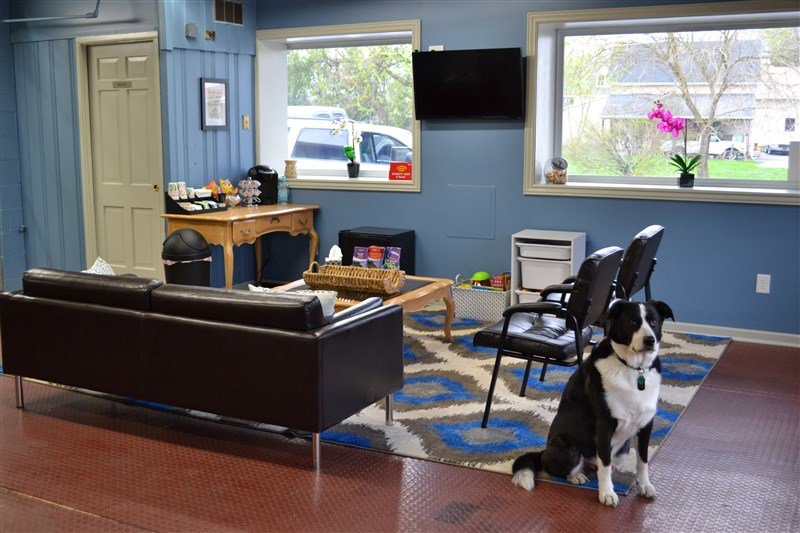 Used 2022 Ford F150 XLT image 40