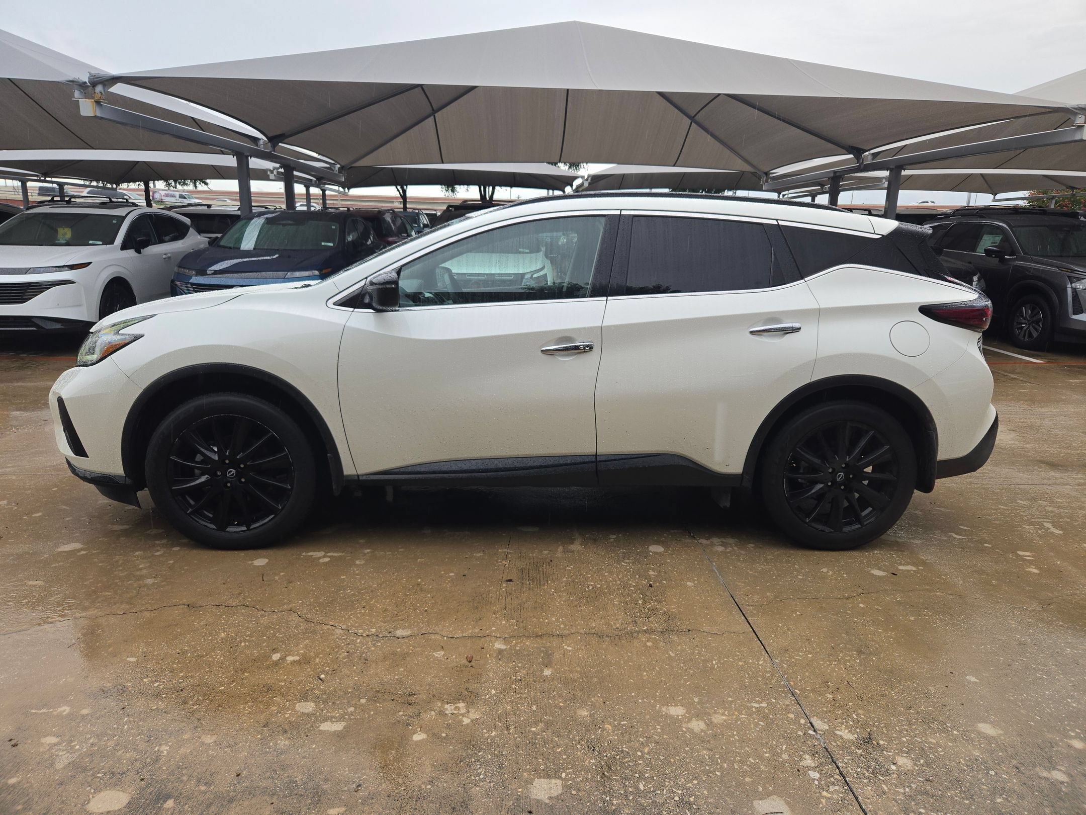 Certified 2024 Nissan Murano SV w/ SV Midnight Edition Package FWD image 3