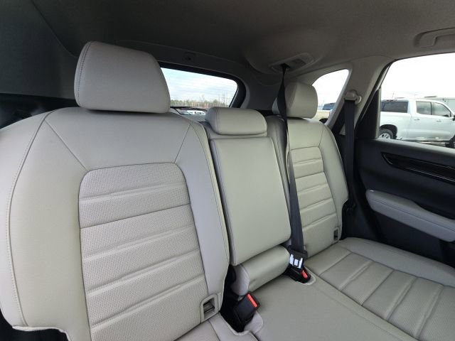 Used 2026 Honda CR-V EX-L image 14