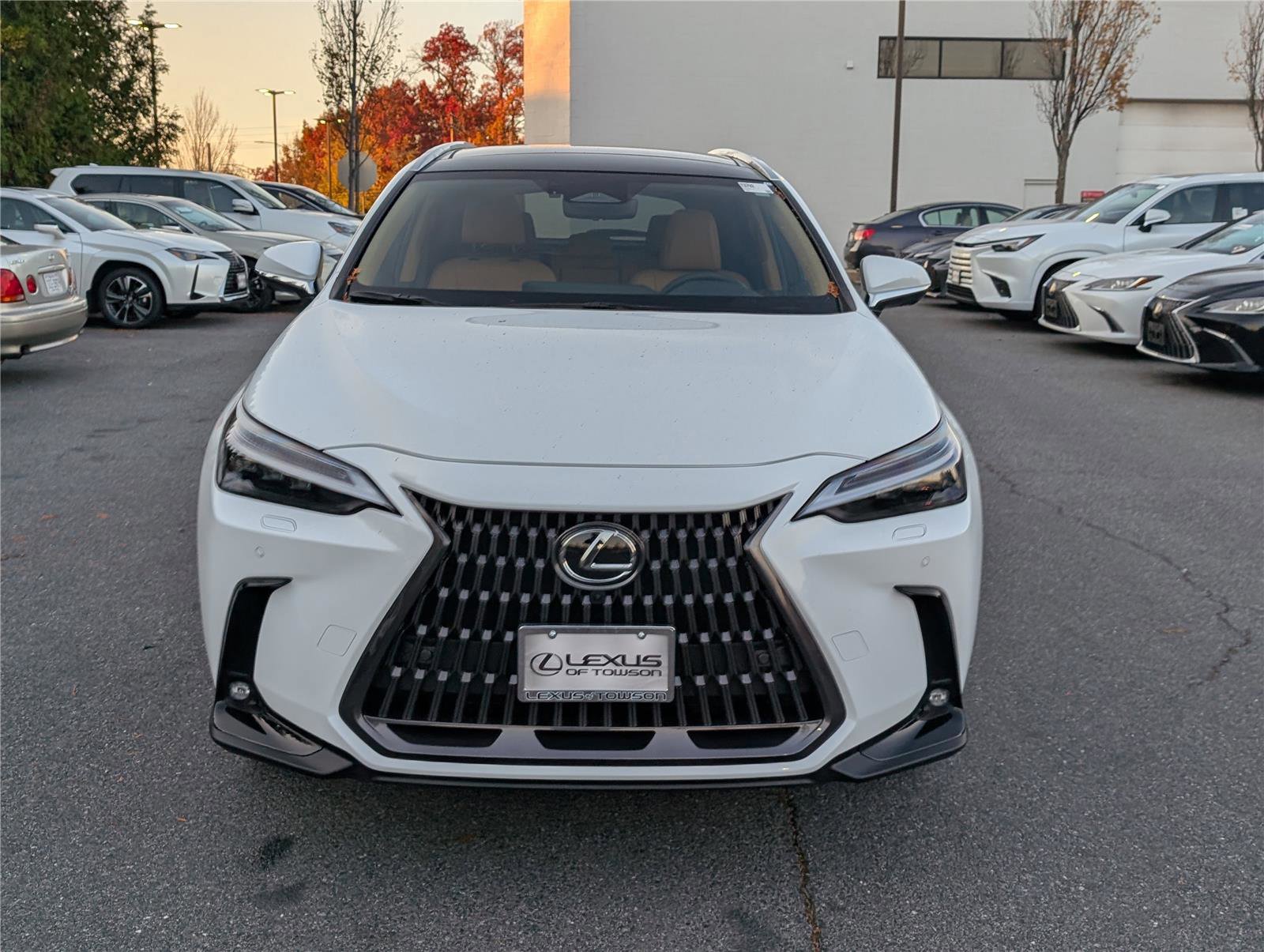 New 2026 Lexus NX 350 AWD w/ Accessory Package (2T) image 6