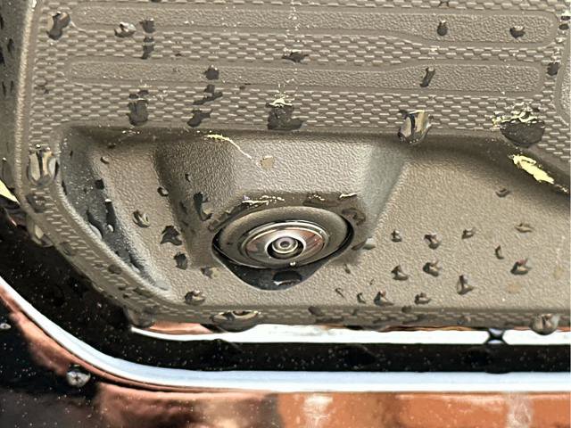 New 2025 Chevrolet Silverado 1500 RST w/ Z71 Off-Road Package image 29