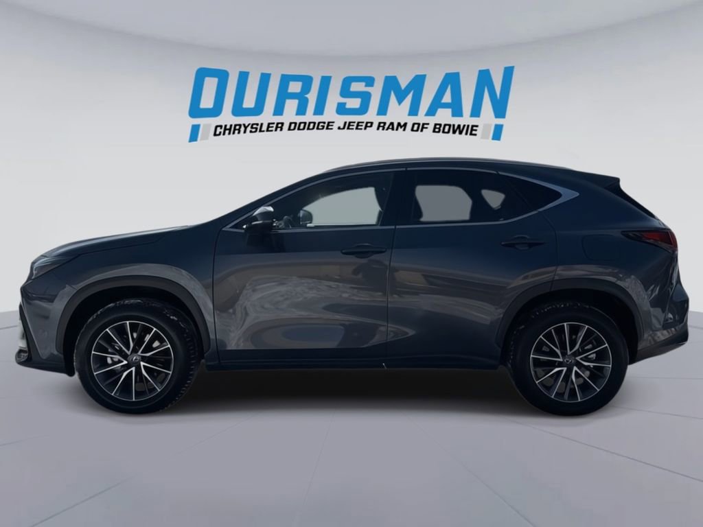 Used 2024 Lexus NX 350h 350h Premium image 3