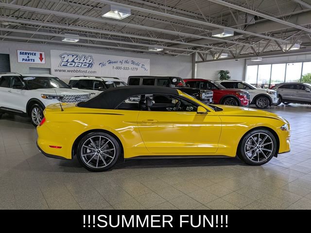 Used 2018 Ford Mustang Premium w/ Equipment Group 201A RWD image 9