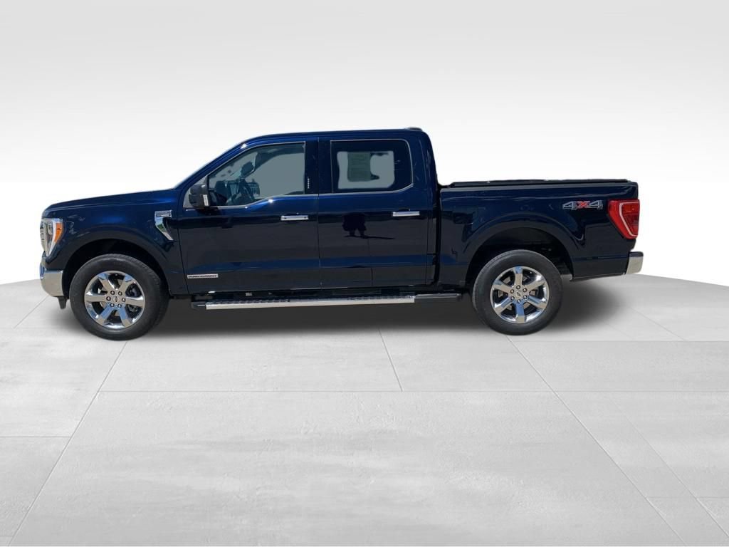 Used 2023 Ford F150 XLT w/ Equipment Group 302A High AWD/4WD image 5