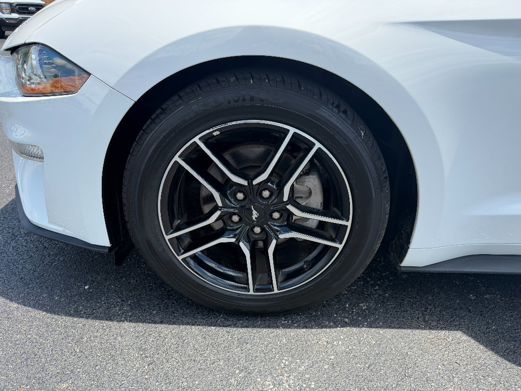 Used 2018 Ford Mustang Premium RWD image 19