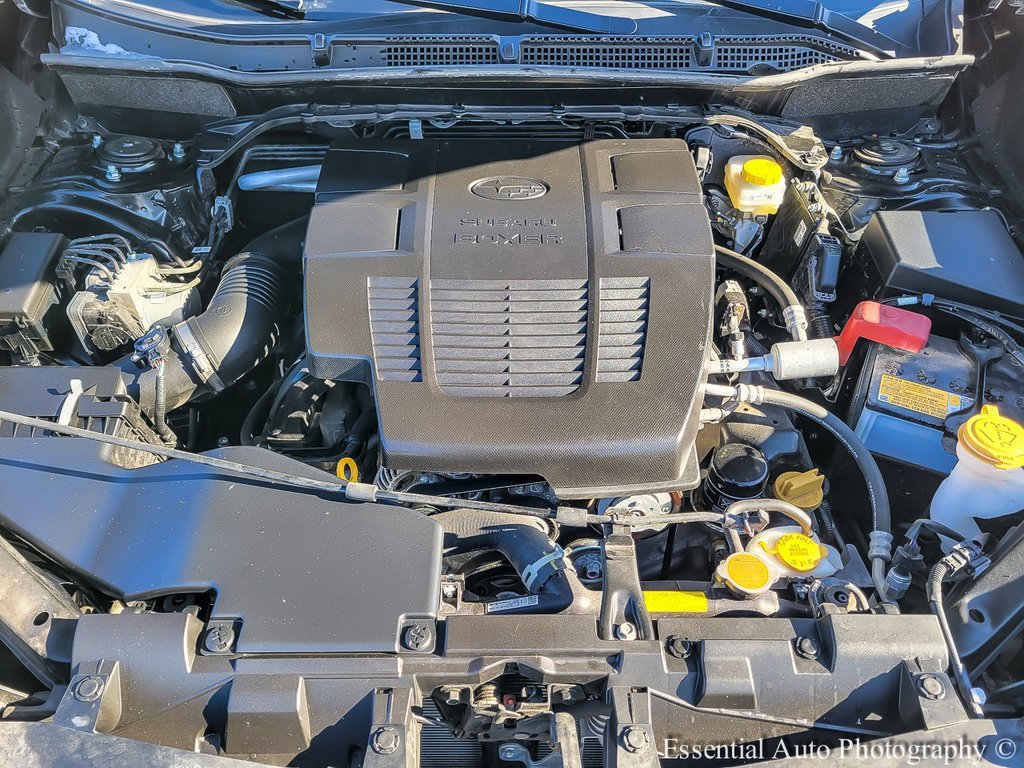 Used 2024 Subaru Forester Wilderness image 36