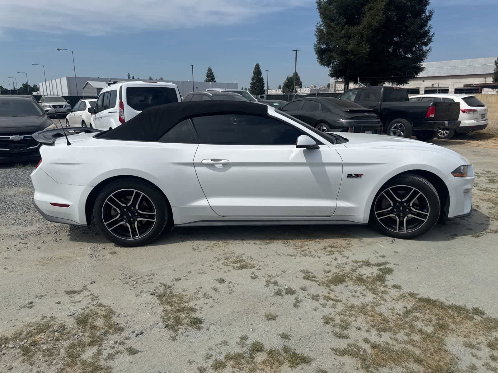 Used 2019 Ford Mustang Premium image 4