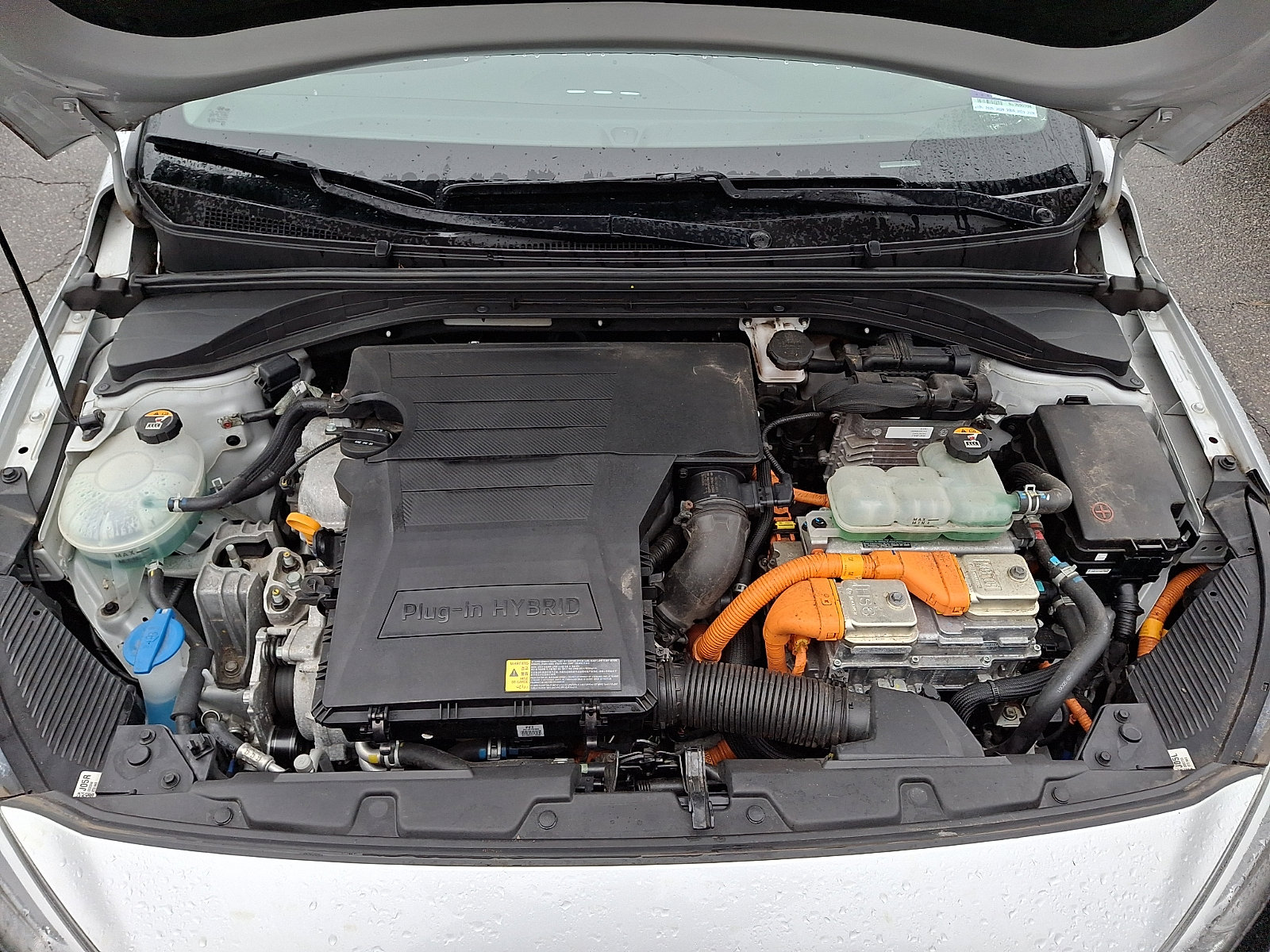 Used 2019 Hyundai Ioniq Plug-In Hybrid image 26