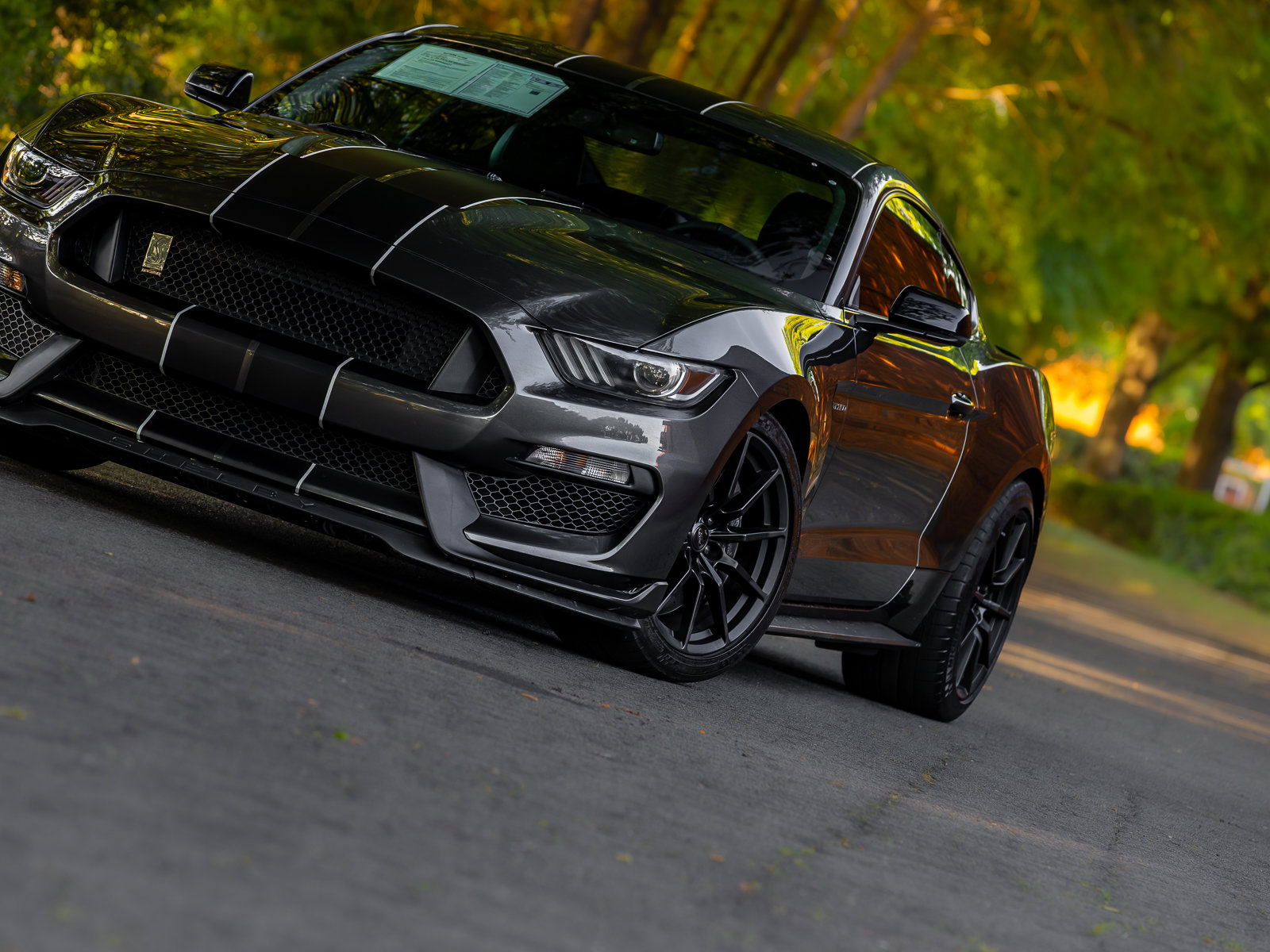 Used 2016 Ford Mustang Shelby GT350 w/ Technology Package RWD image 24