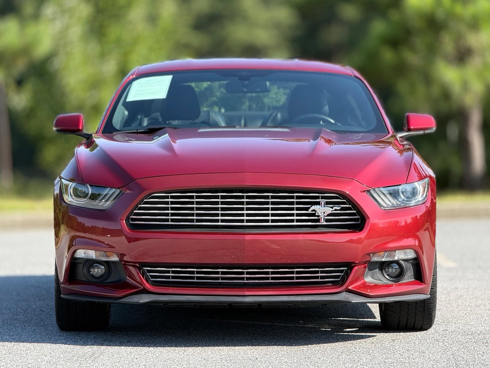 Used 2017 Ford Mustang Premium w/ Pony Package RWD image 3