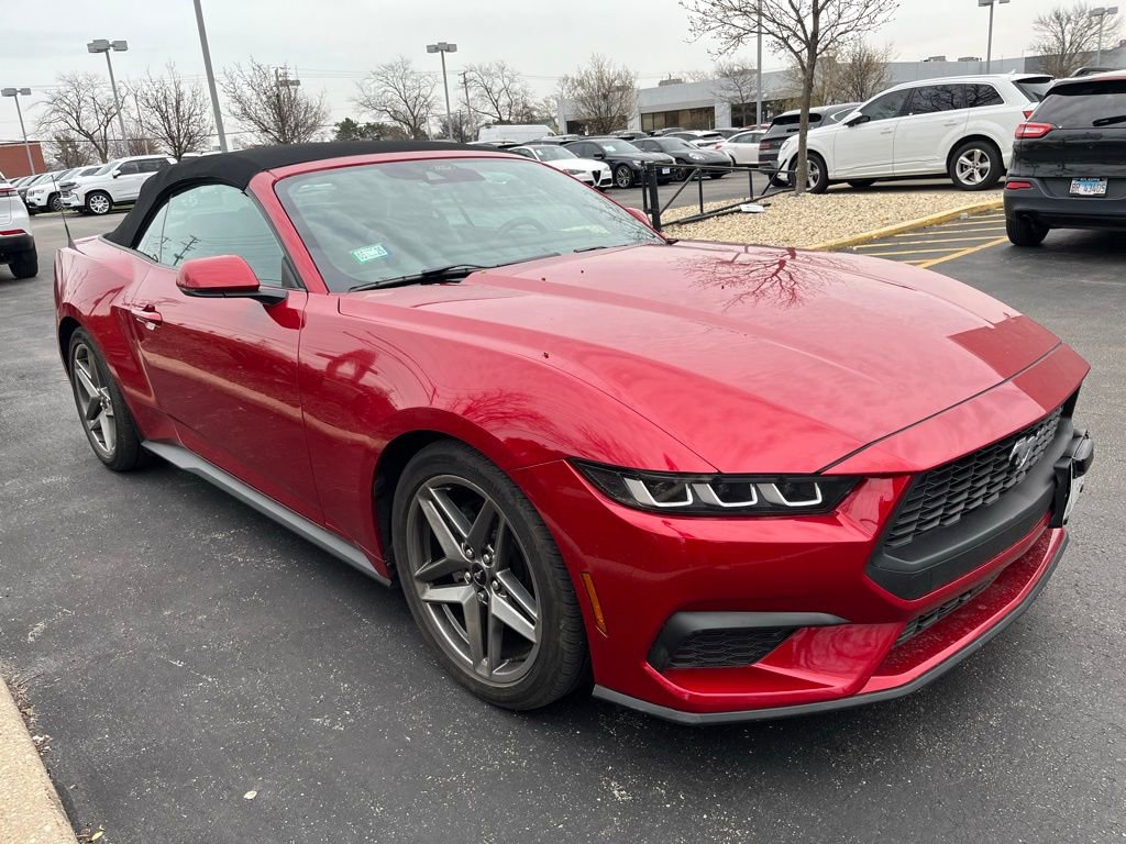 Used 2024 Ford Mustang Premium image 2