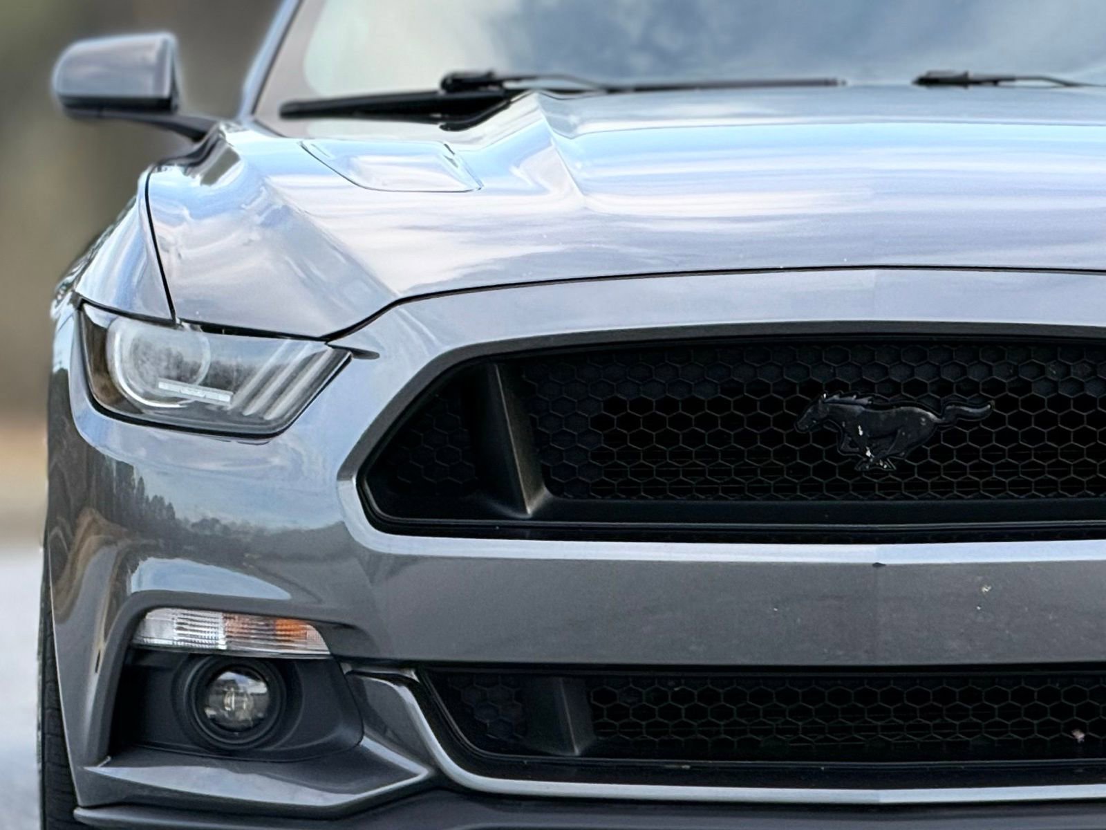 Used 2017 Ford Mustang GT Premium w/ Equipment Group 401A image 13