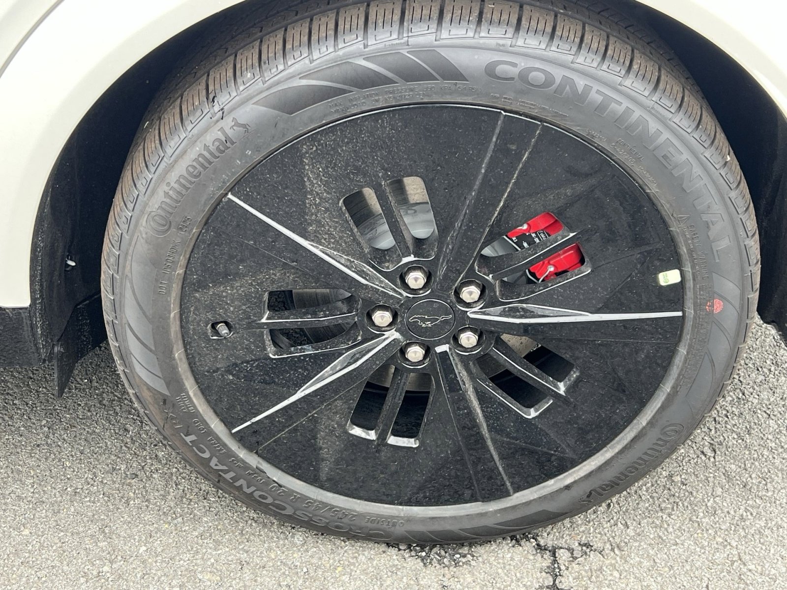 New 2025 Ford Mustang Mach-E GT w/ Interior Protection Package image 12