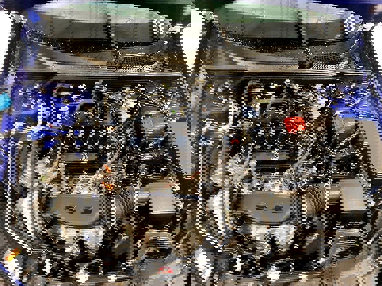 Used 2024 Acura Integra A-Spec image 12